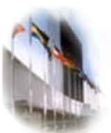 The United Nations